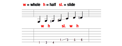 Half>Whole>Slide